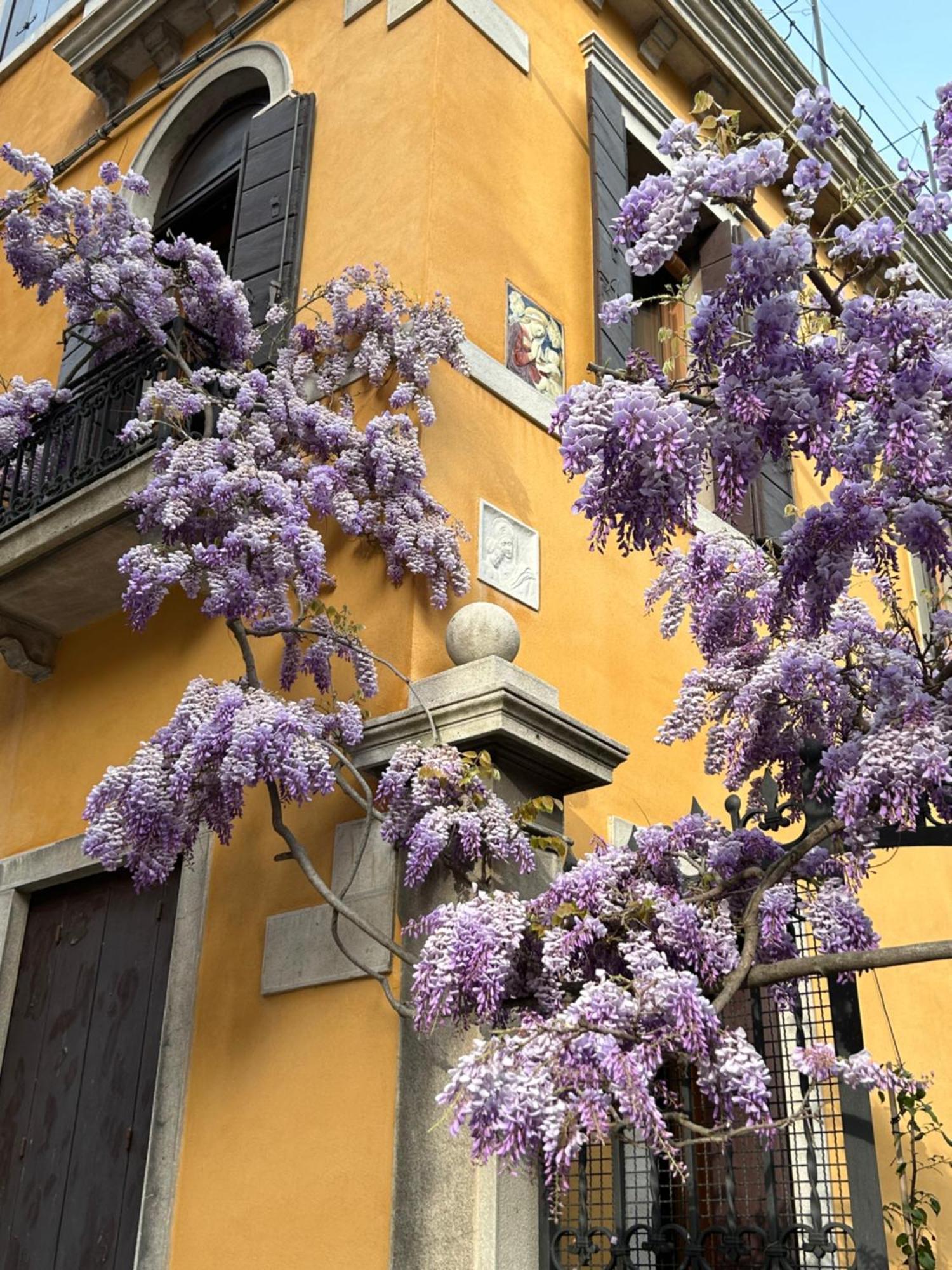 Carbonaia Venezia Hotel Exterior photo